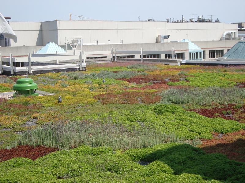 World Wide Fund for Nature Headquarters