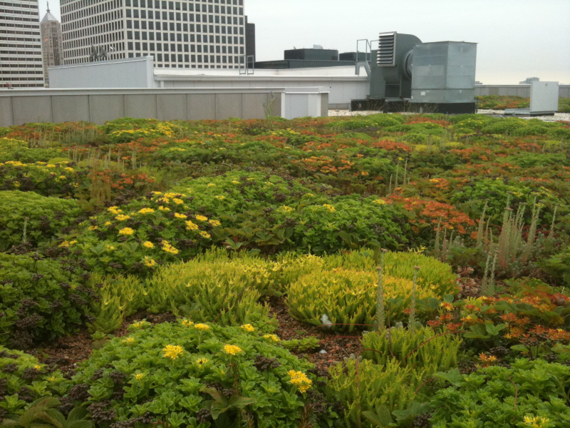 garden roof